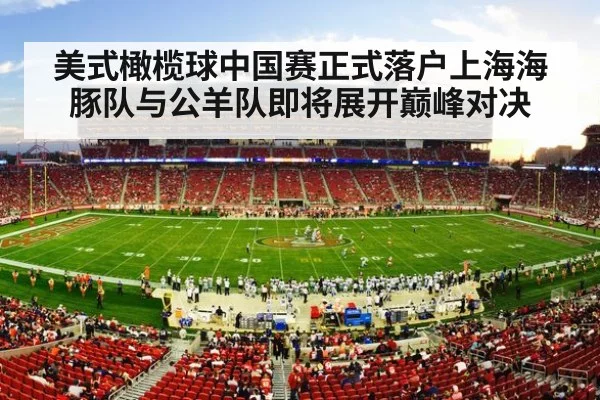 American football stadium crowd